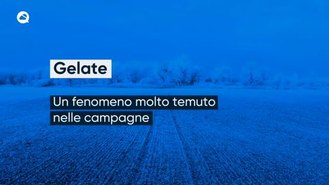 Gelate: Un fenomeno molto temuto nelle campagne