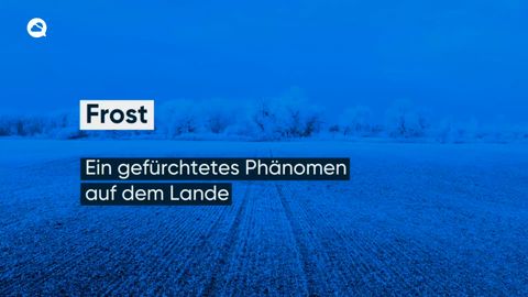 Frost: Ein gefürchtetes Phänomen auf dem Lande