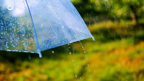 Primeras tendencias meteorológicas de Meteored para el puente de diciembre 