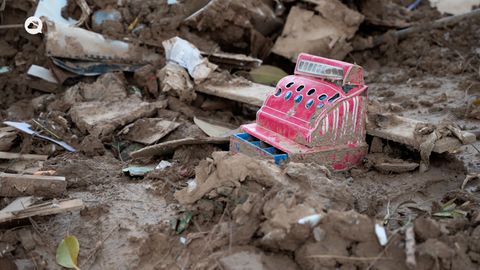 El doctor en Geografía Enrique Moltó analiza los impactos de la DANA en la Albufera