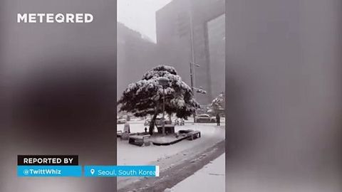 La primera nevada de la temporada cubre Seúl, Corea del Sur