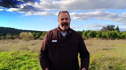 Heladas en el interior peninsular y tormentas fuertes en el Mediterráneo