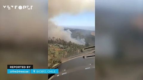 Gran incendio forestal en la region de Biobío, Chile