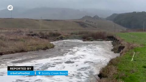 Varias olas enormes arrastraron a algunas personas tierra adentro en Scotty Creek Beach, USA