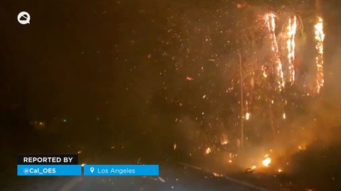 Los incendios de Los Angeles (California) calcinan más de 14500 hectáreas