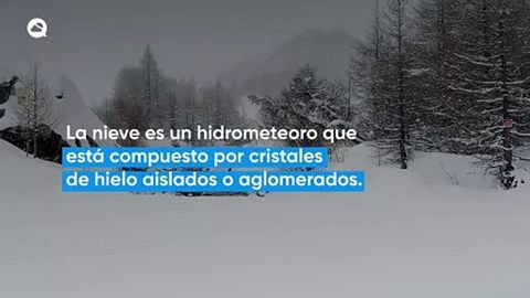 Nieve