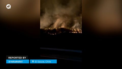 Graves incendios forestales provocan estragos en El Sauce, Chile
