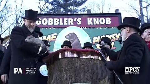 Día de la Marmota: Ya tenemos el veredicto de la marmota Phil 