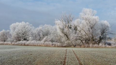 ¿Se prevé alguna ola de frío en España en lo que queda de febrero? Esto es lo que dicen las previsiones. 