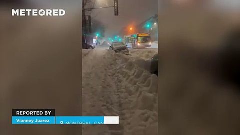 Una gran tormenta de nieve paraliza la ciudad de Montreal, Canadá