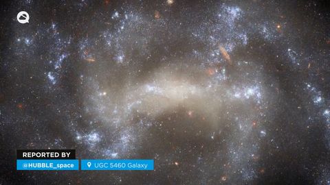 El telescopio Hubble descubre una estrella que habría