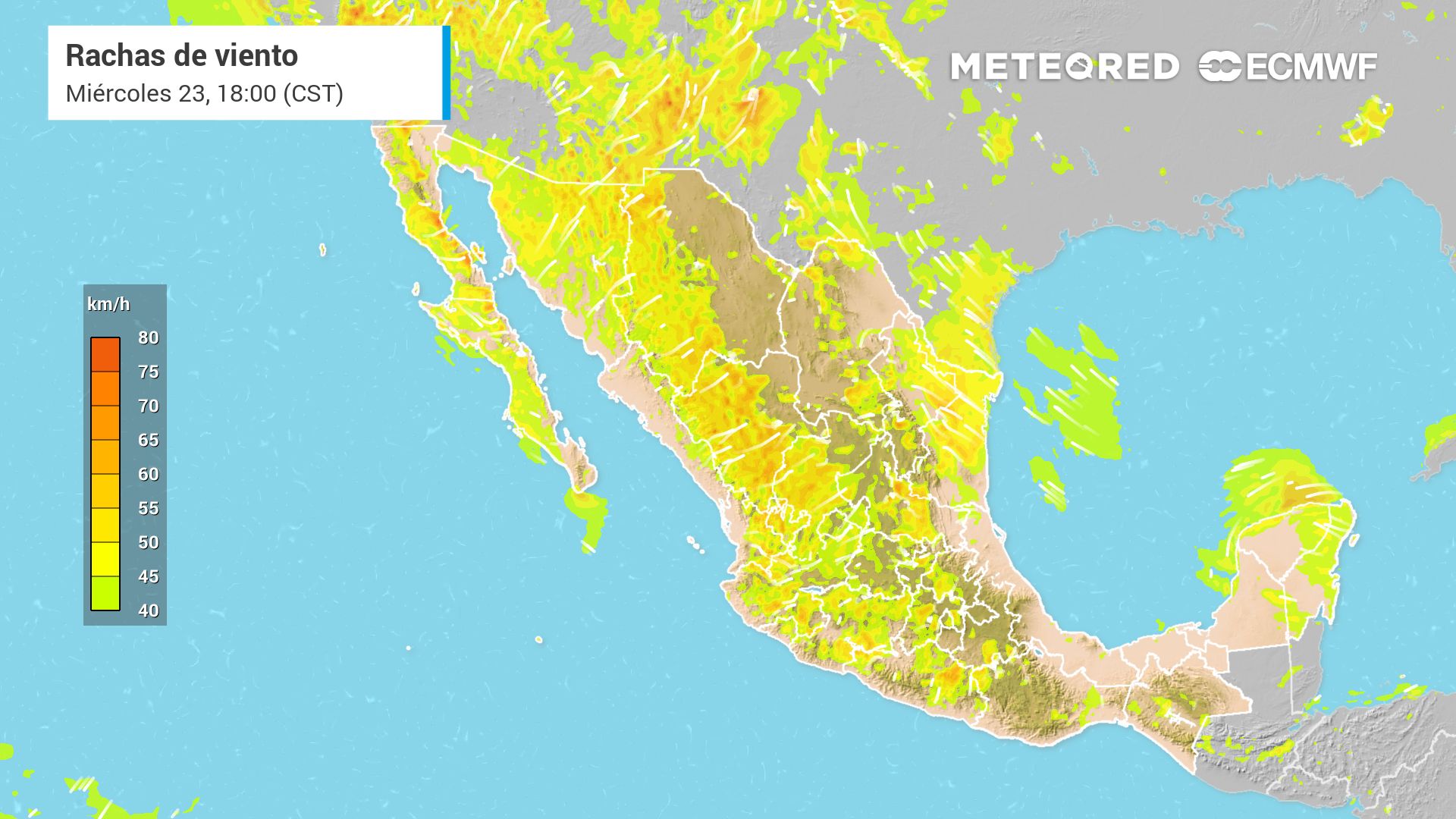 Lunes con intensas rachas de viento de hasta 80 km/h los estados de Chihuahua, Durango, Coahuila y Nuevo León. Noticias en tiempo real