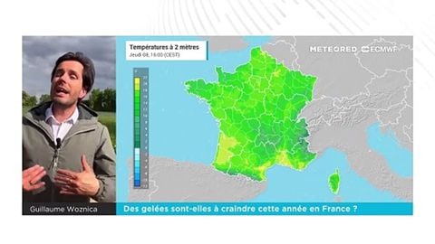 Saints de glace 2025 : des gelées sont-elles à craindre cette année en France ?