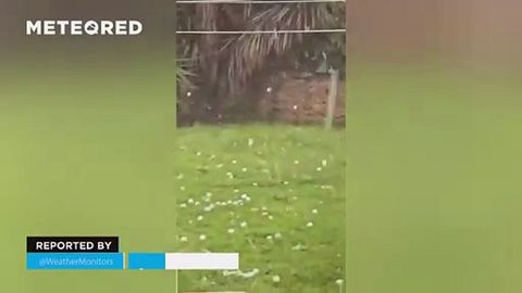 ¡Catastrófica granizada en la provincia de Al-Kāf, Túnez! Las bolas de hielo alcanzaron un gran tamaño, provocando grandes daños materiales en esta zona del país