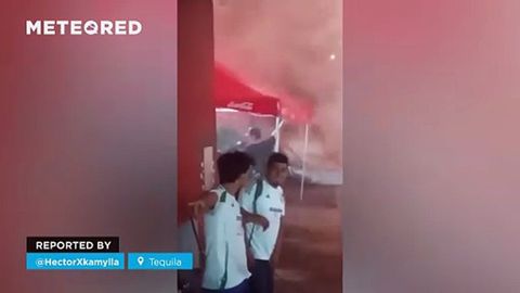 Las tormentas provocan vientos extremos en el estado de Jalisco, México. Se registraron daños materiales y decenas de árboles fueron arrancados por la fuerza del viento