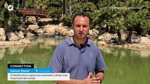 El Mediterráneo registra las anomalías cálidas más importante del mundo