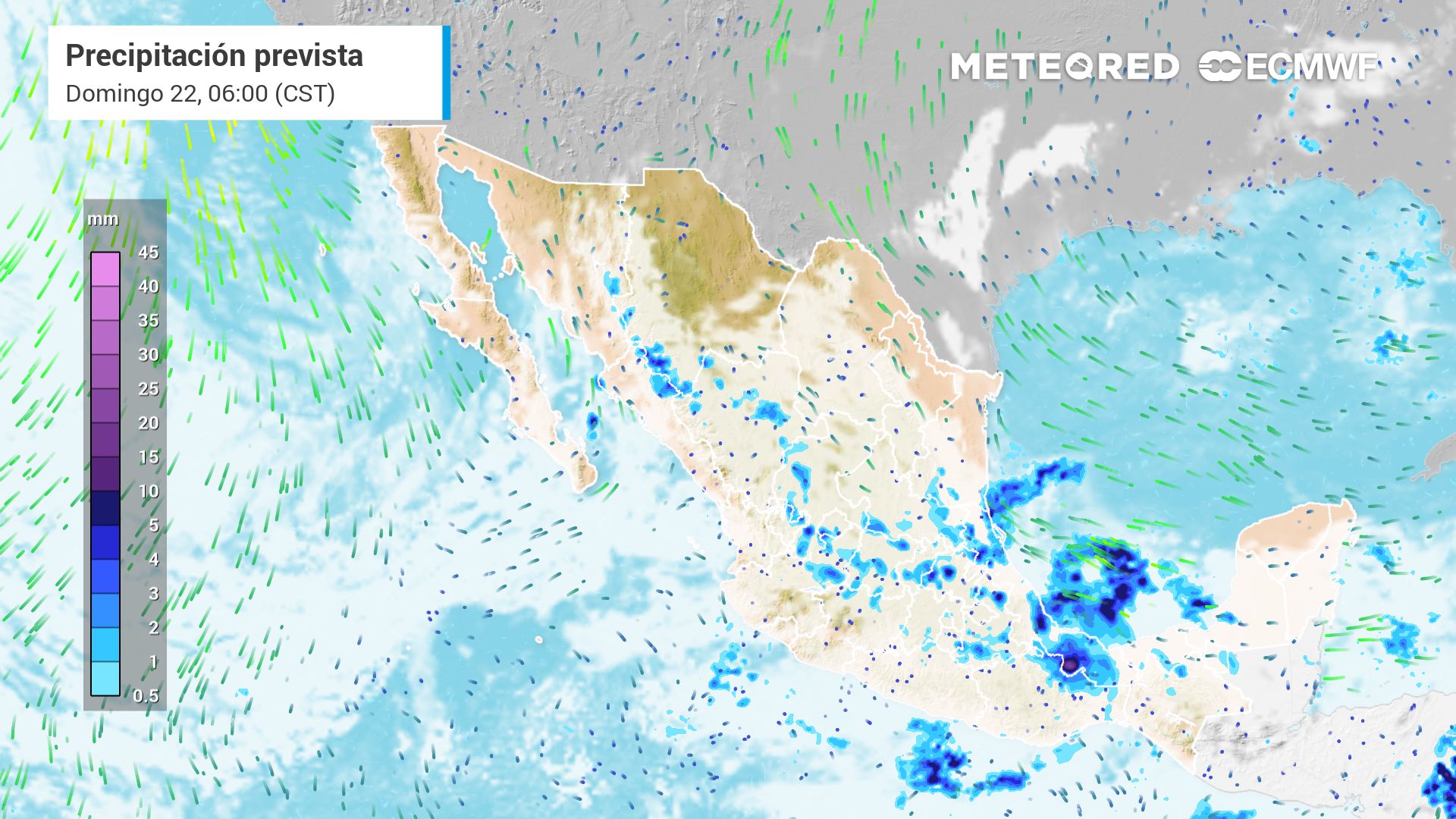 Ciclón Tropical Erick: qué estados de México tendrán efectos con fuertes lluvias e inundaciones. Noticias en tiempo real