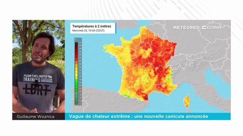 Vague de chaleur extrême : une nouvelle canicule annoncée avec plus de 40°C !