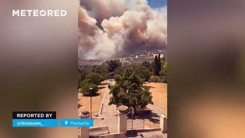 ¡Un gran incendio forestal en Marsella, Francia! El fuego avanza hacia los suburbios y genera gran preocupación entre la población