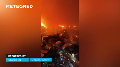 Un voraz incendio forestal arrasa con Bursa, Turquía. Las llamas, impulsadas por fuertes vientos, avanzan sin control hacia las zonas residenciales
