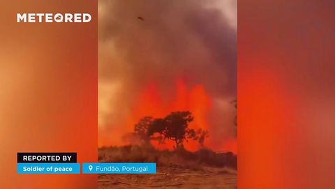 ¡Un peligrosísimo incendio forestal arrasa Fundão, Portugal! Personas y animales han sido evacuados, mientras enormes llamas avanzan sin control por la zona