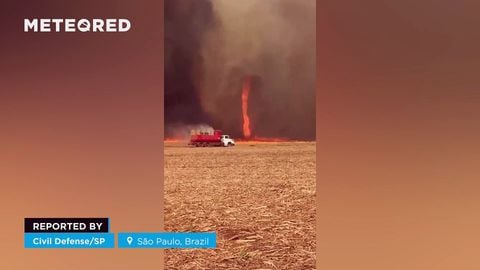 Se formó un gran tornado de fuego en São Paulo, Brasil! El peligroso fenómeno ocurrió en una plantación de caña de azúcar