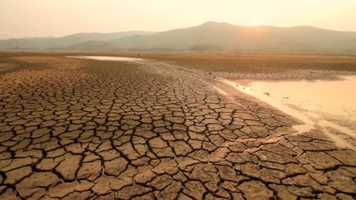  ¿Un gran pacto climático para cerrar la COP30?