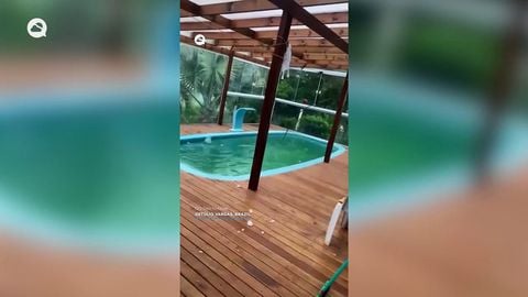 Top 10 Meteored 2025