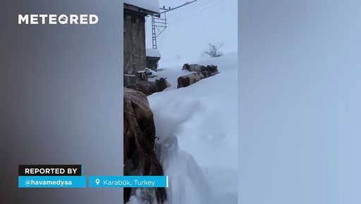 Diverse mucche si fanno strada attraverso una forte nevicata a Karabük, in Turchia