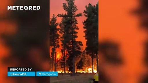 Graves incendios forestales arrasan La Patagonia, Argentina