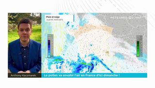 Le pollen va envahir l'air en France d'ici dimanche !