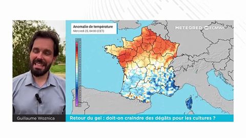 Retour du gel : doit-on craindre des dégâts pour les cultures ?