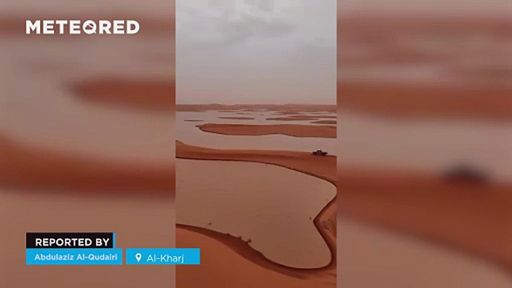 Il deserto arabo si sta riempiendo di laghi e prati dopo le piogge straordinarie