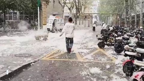 Ciudades de China quedan bajo las pelusas de álamo