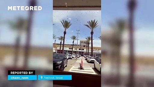 Miles de abejas provocan el caos en Netivot, Israel