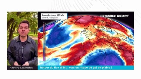 Retour du flux d'Est : vers un risque de gel en plaine ?