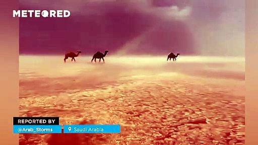 El agua y el granizo cubren las dunas del desierto de Arabia Saudita.