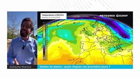 Gelées en plaine : quels risques ces prochains jours ?