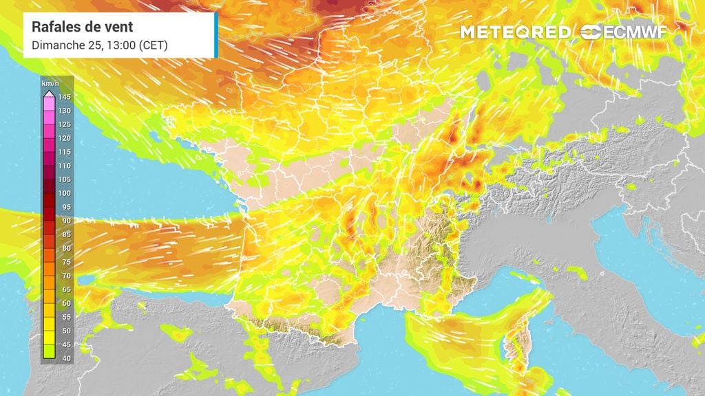 Tempête Austen à Paris vendredi 23 : à quoi faut-il s'attendre ? Voici les heures clés