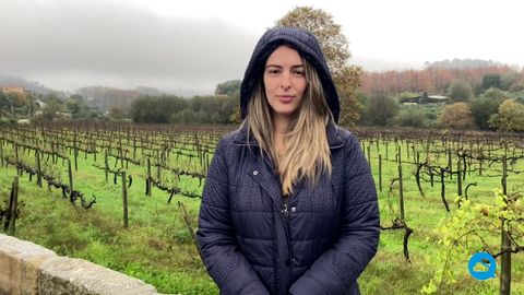 Frio e geada nos próximos dias, mas trégua na chuva será temporária