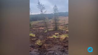 Glissement de terrain de tourbe au sud de Ballybofey en Irlande.
