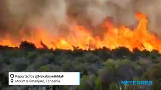 De graves incendies de forêt sur le mont Kilimandjaro