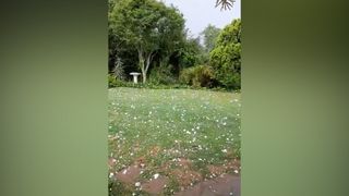 Fortes chutes de grêle en Afrique du Sud