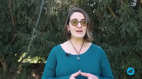 ¿Cómo estuvo la visita del sistema frontal en Chile?
