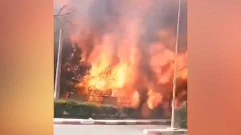 Incendios catastróficos en el norte de Argelia