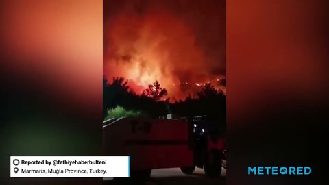 Impactantes indencios forestales en Turquía