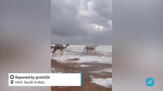 Tempestades de areia e fortes quedas de granizo na Arábia Saudita